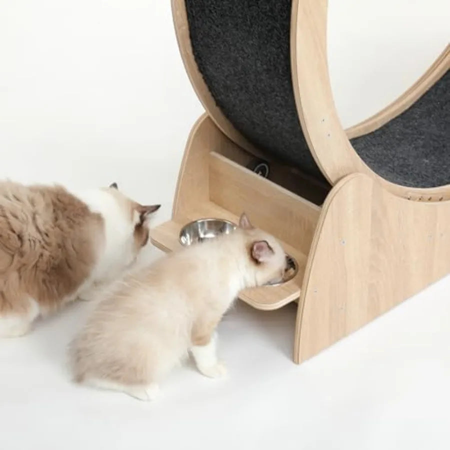 5-in-1 Cat Wheel for Indoor Cats 4.3 High Large Exercise Wheel with Silent Operation Durable Plastic and Wood Finish Compact De
