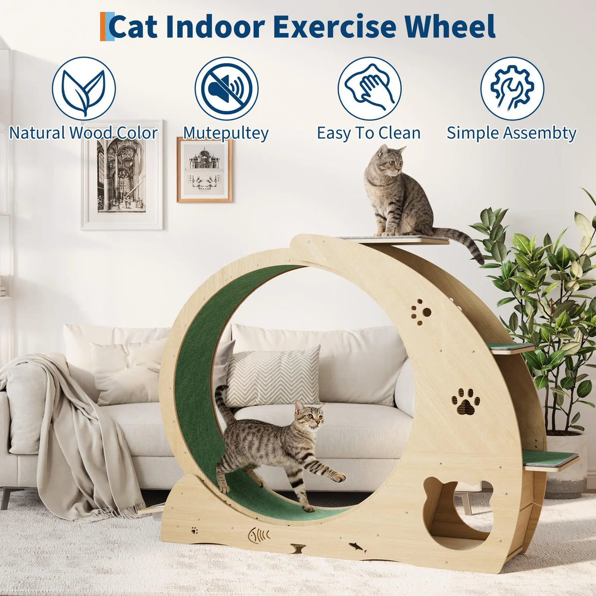 HiMISS 6 In 1 Cat Exercise Wheel With Scratch Post