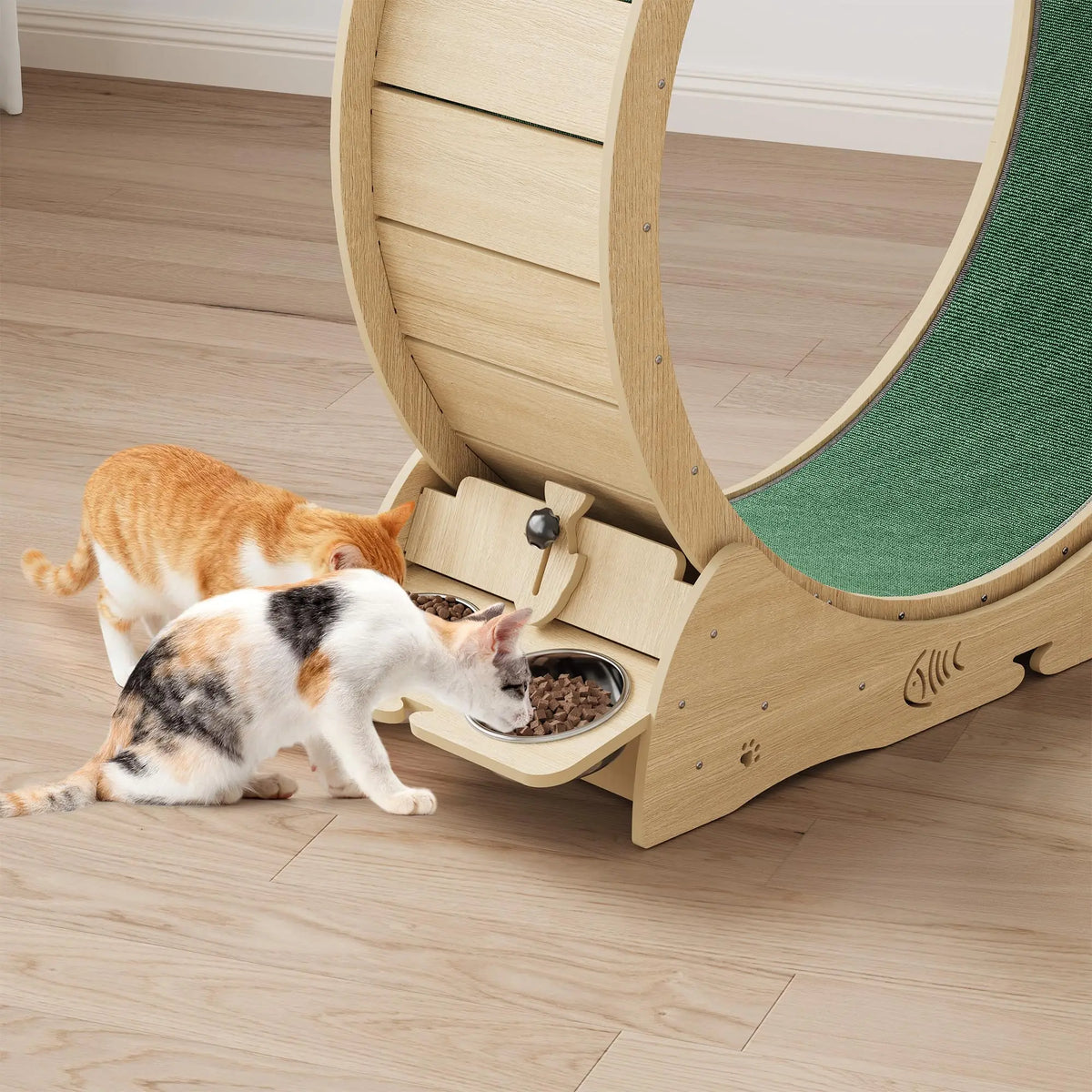 HiMISS 6 In 1 Cat Exercise Wheel With Scratch Post