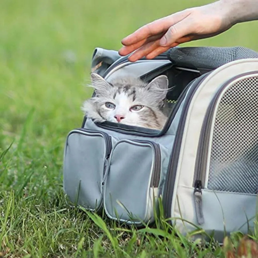 Soft Sided Cat Carrier Backpack With Mesh Windows Airline Approved