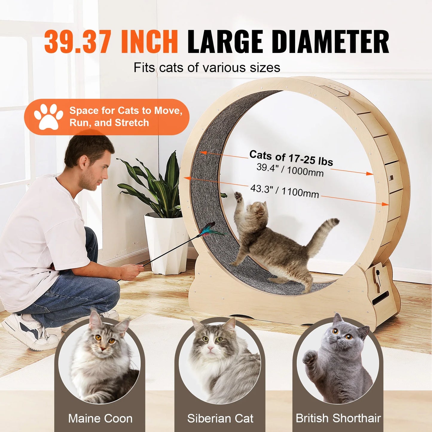 Wooden Cat Exercise Wheel For Indoor Cats With Detachable Carpet