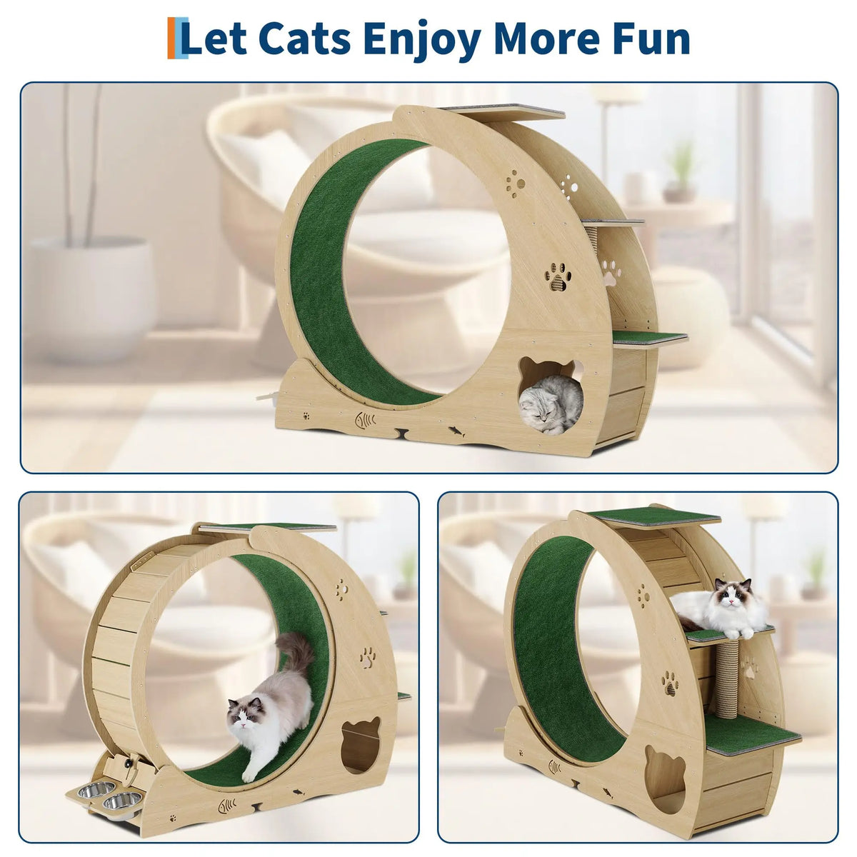 HiMISS 6 In 1 Cat Exercise Wheel With Scratch Post