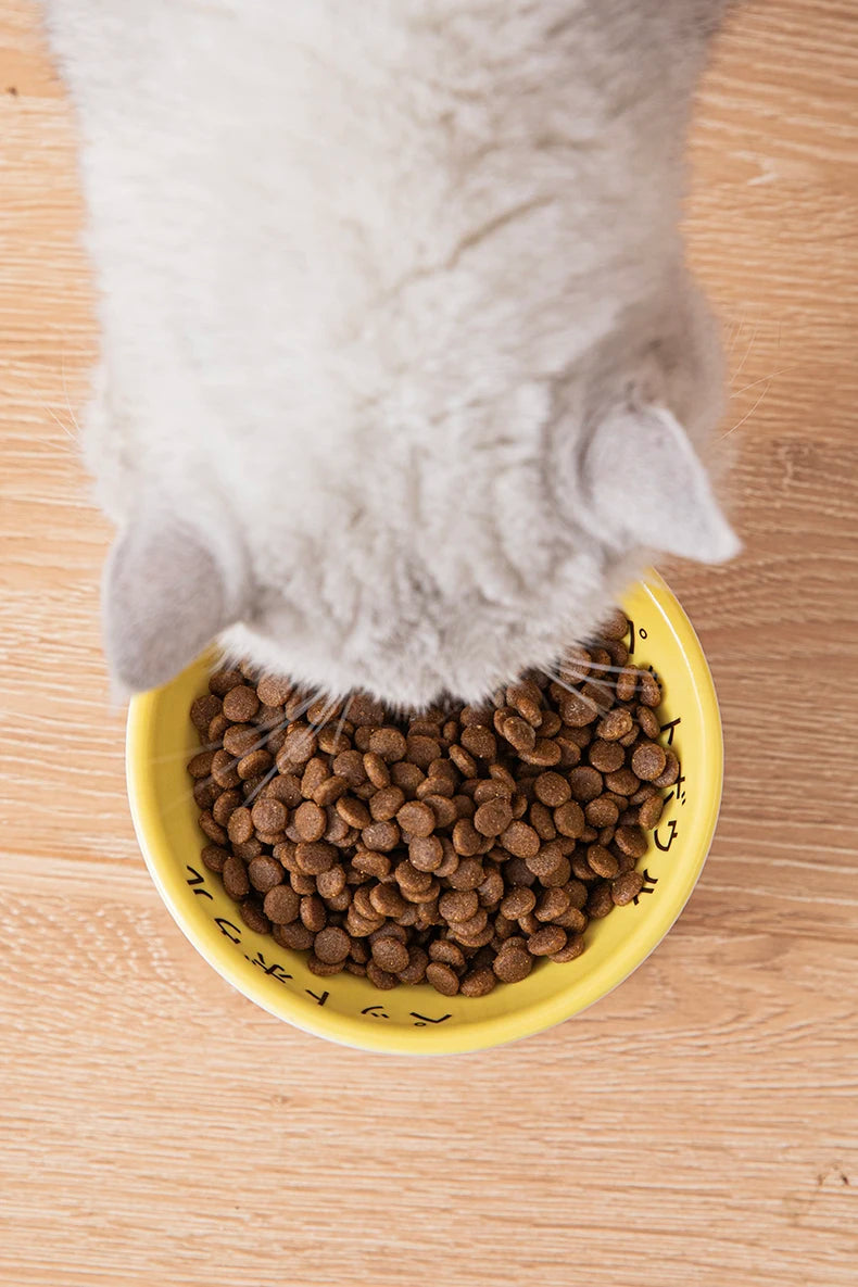 Japanese Ceramic Elevated Cat Bowl Puppy Dog Snacks Water Food Bowl For Cats Raised Cat Feeder Drinker Pet Supplies Accessories