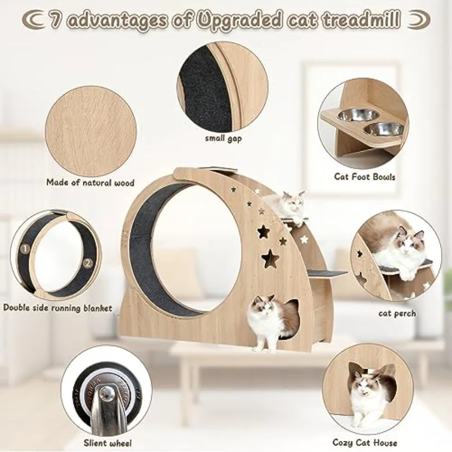 5-in-1 Cat Wheel for Indoor Cats 4.3 High Large Exercise Wheel with Silent Operation Durable Plastic and Wood Finish Compact De