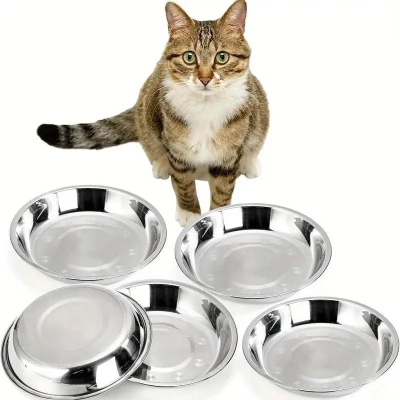 Stainless Steel Slip Resistant Cat Bowl With Anti Tip Base