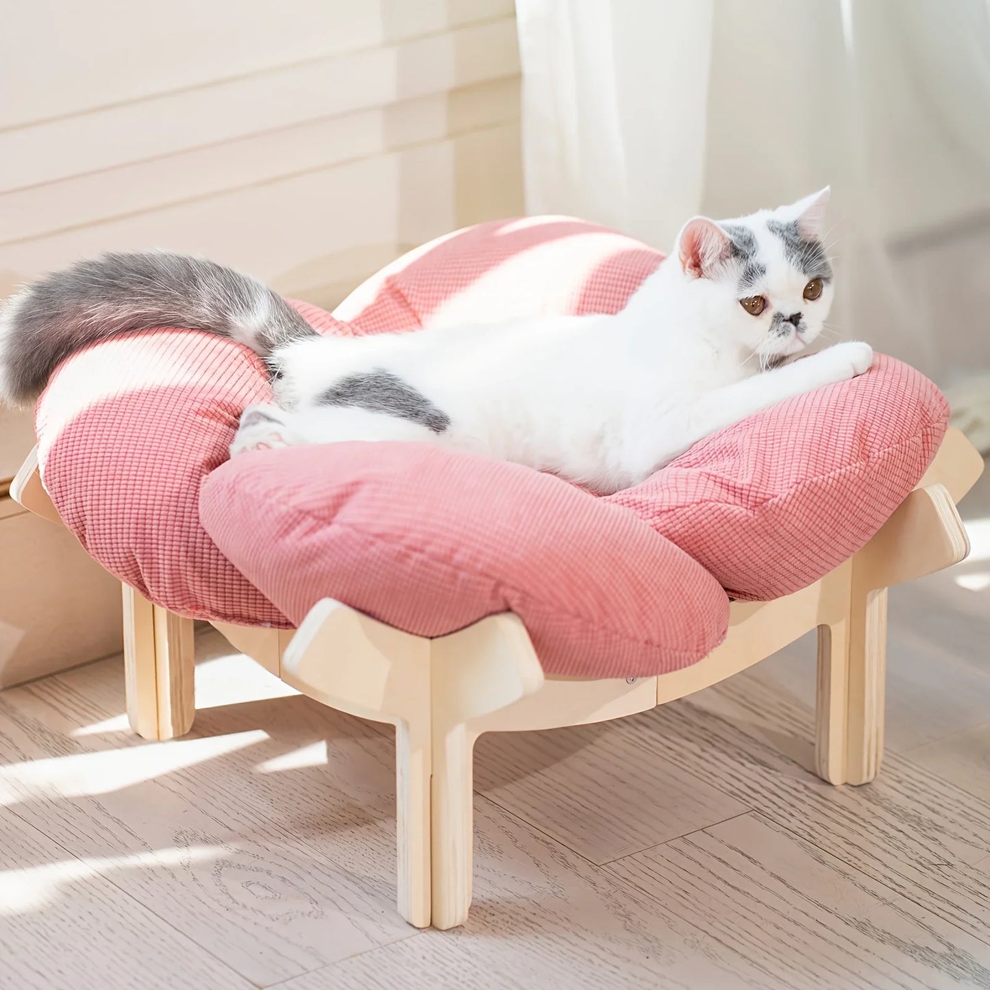 Raised Wooden Cat Bed With Cushion For Indoor Use