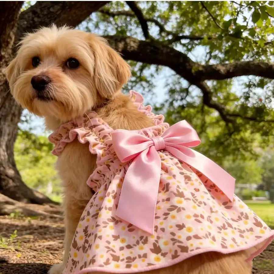 1pc Romantic Ditsy Floral Sleeveless Dress For Small Dogs & Cats, Breathable Lightweight Elegant Princess Style, Suitable For Spring & Summer