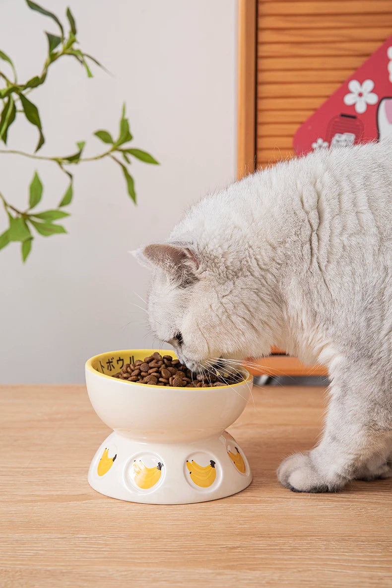 Japanese Ceramic Elevated Cat Bowl Puppy Dog Snacks Water Food Bowl For Cats Raised Cat Feeder Drinker Pet Supplies Accessories