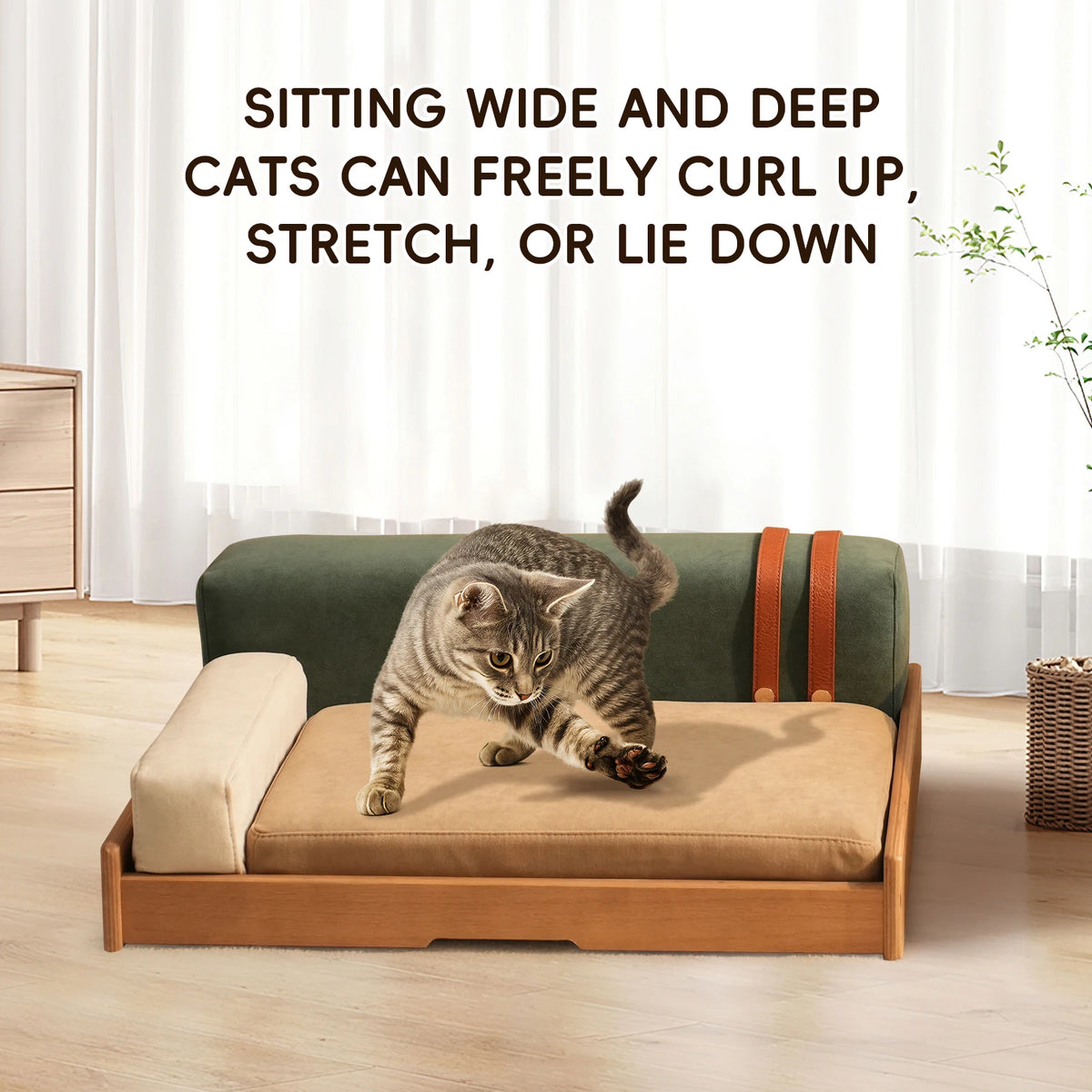 Modern Oak Veneer Pet Bed With Removable Cushion Indoor