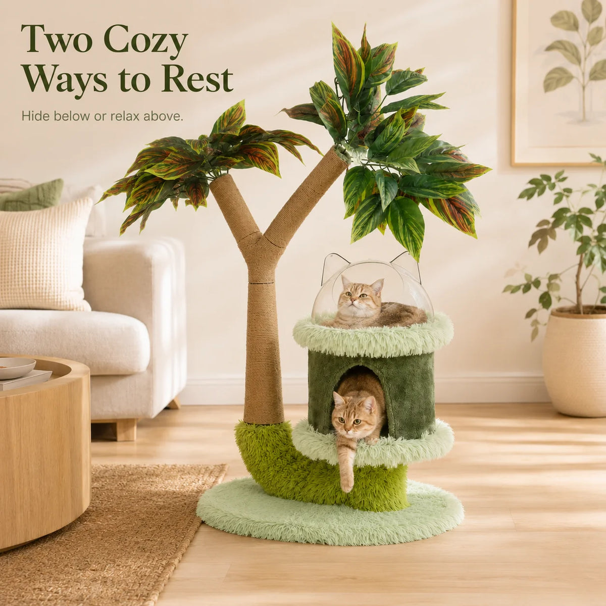 Mango Tree Cat Tree With Cozy Perch And Scratching Post