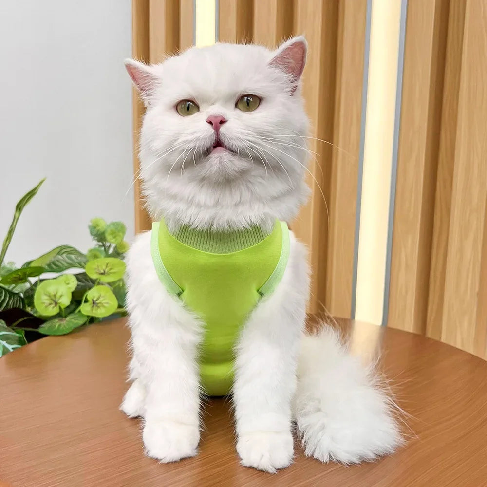 Anti Licking Pet Cat Clothes Girls Kitten Overall Pajamas Cat Clothes Recovery Suit Female Jumpsuit Cat Sterilization Vest Shirt