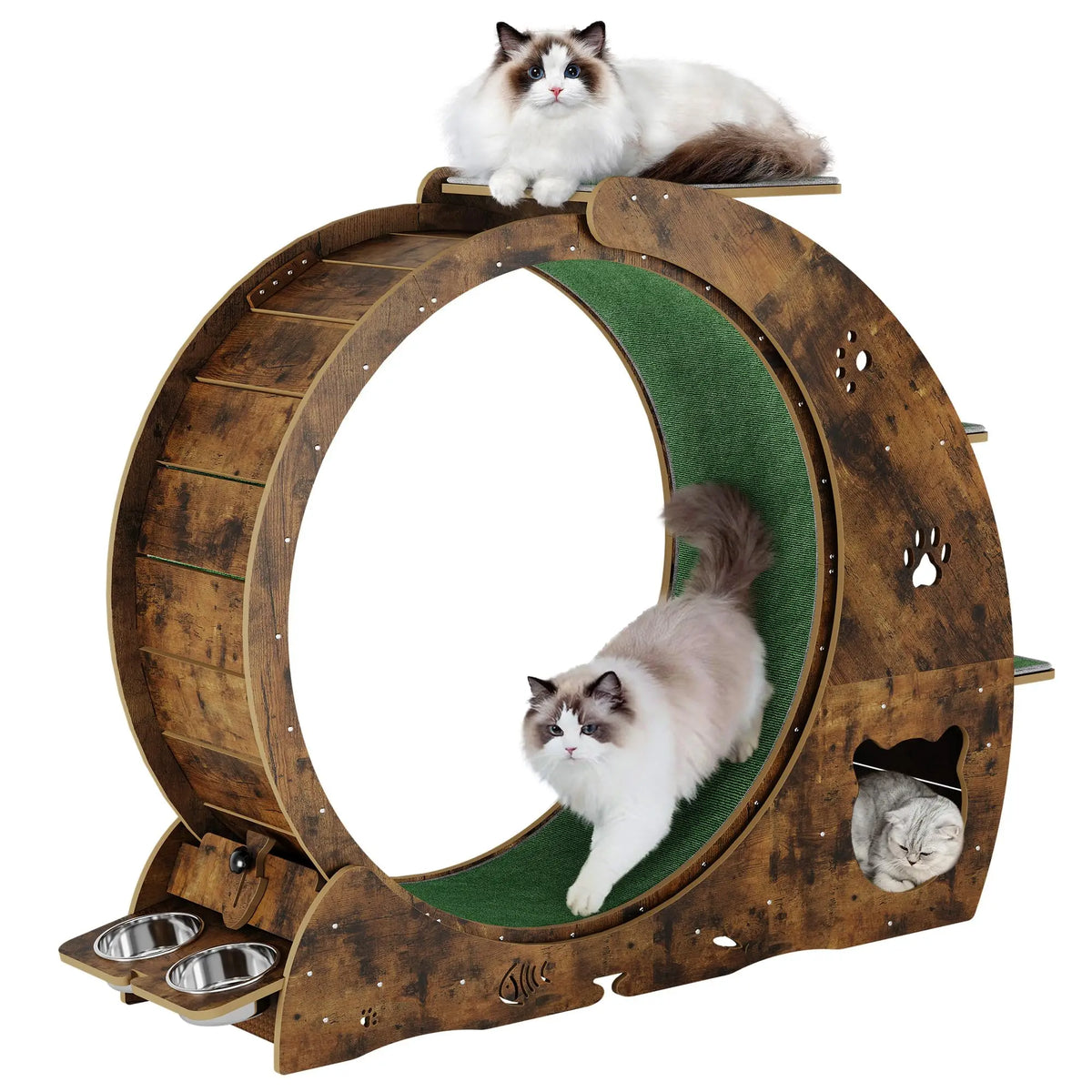 HiMISS 6 In 1 Cat Exercise Wheel With Scratch Post