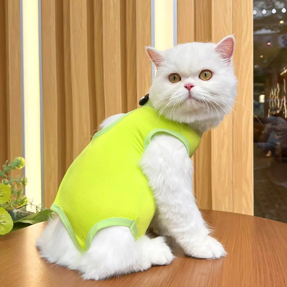 Anti Licking Pet Cat Clothes Girls Kitten Overall Pajamas Cat Clothes Recovery Suit Female Jumpsuit Cat Sterilization Vest Shirt