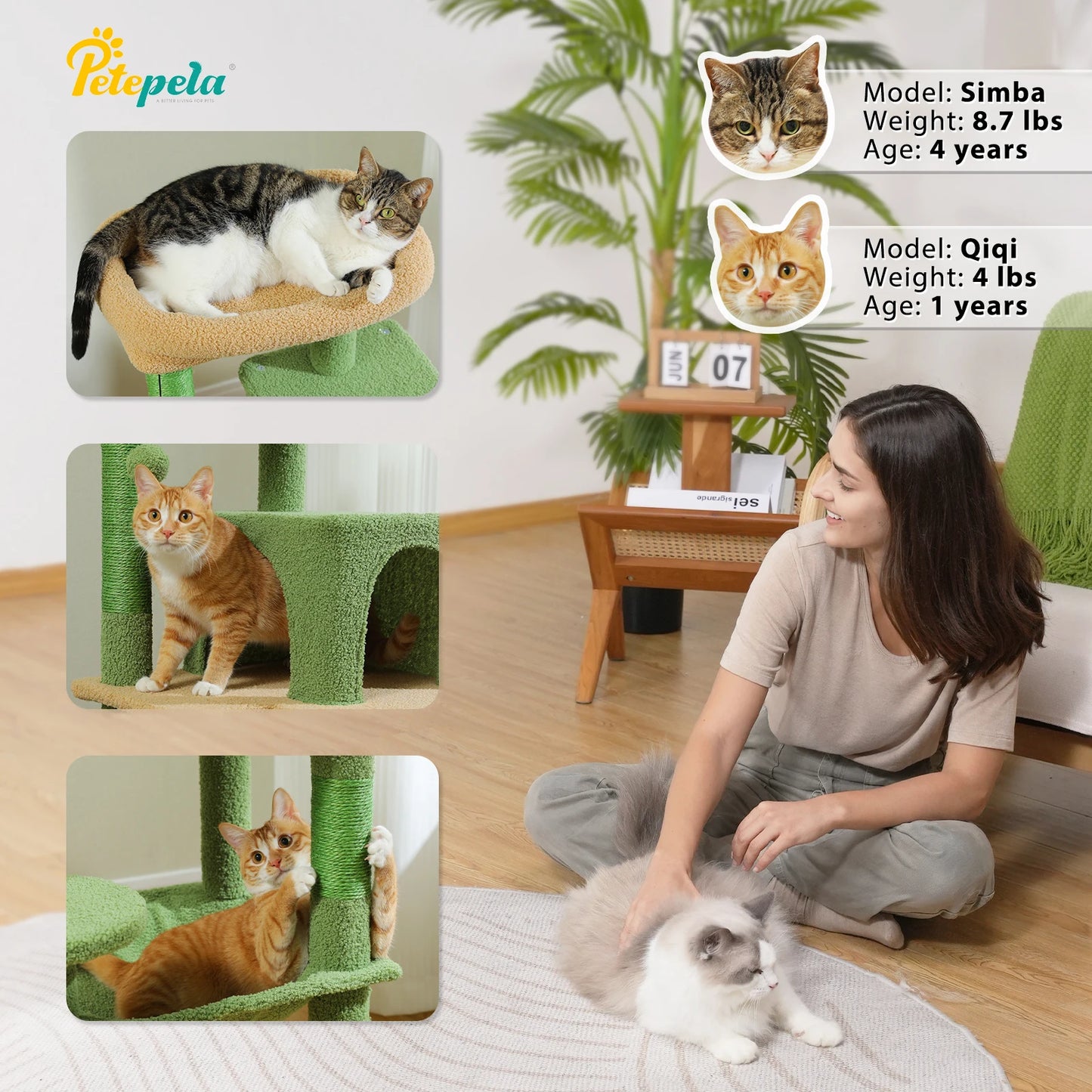 PAWZ Road Cactus Cat Tree Tower For Large Cats Perch