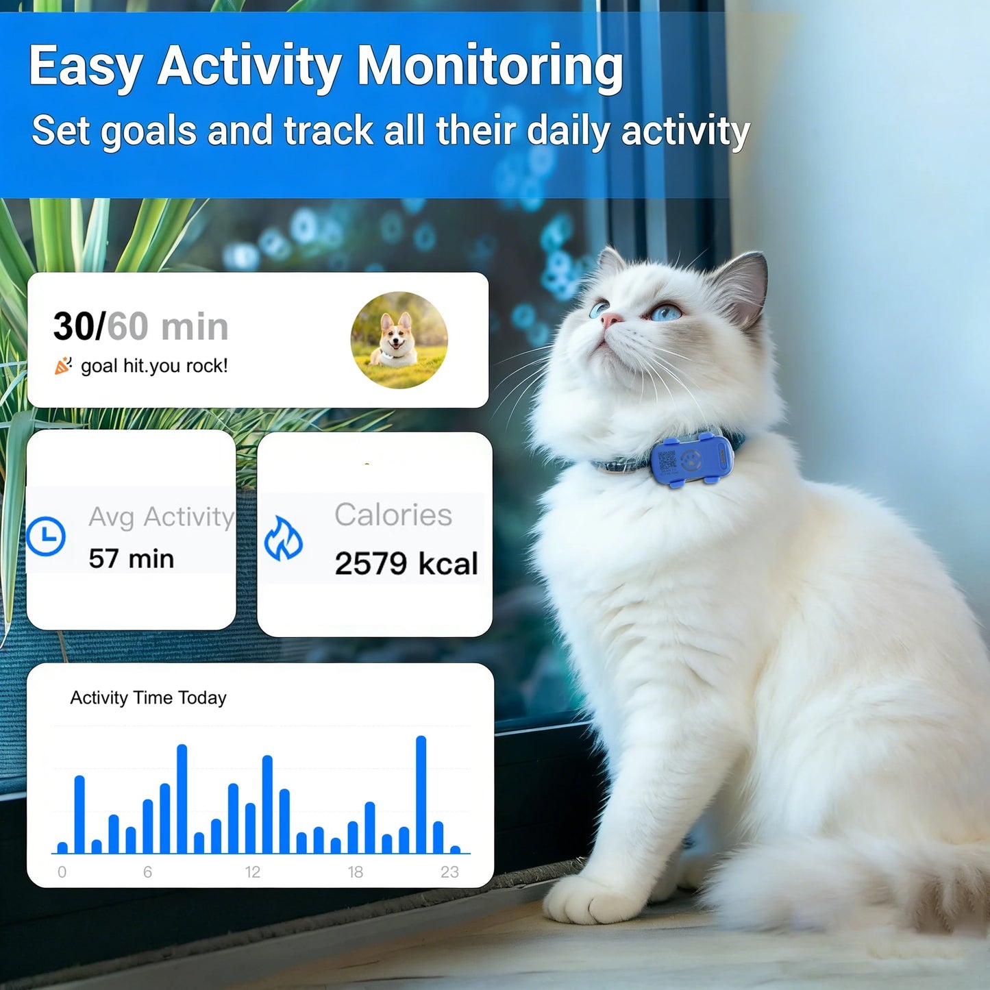GPS Pet Tracker for Dogs Cats Real Time Tracking Unlimited Distance QR Code Anti-Lost Locator with 1-year Service