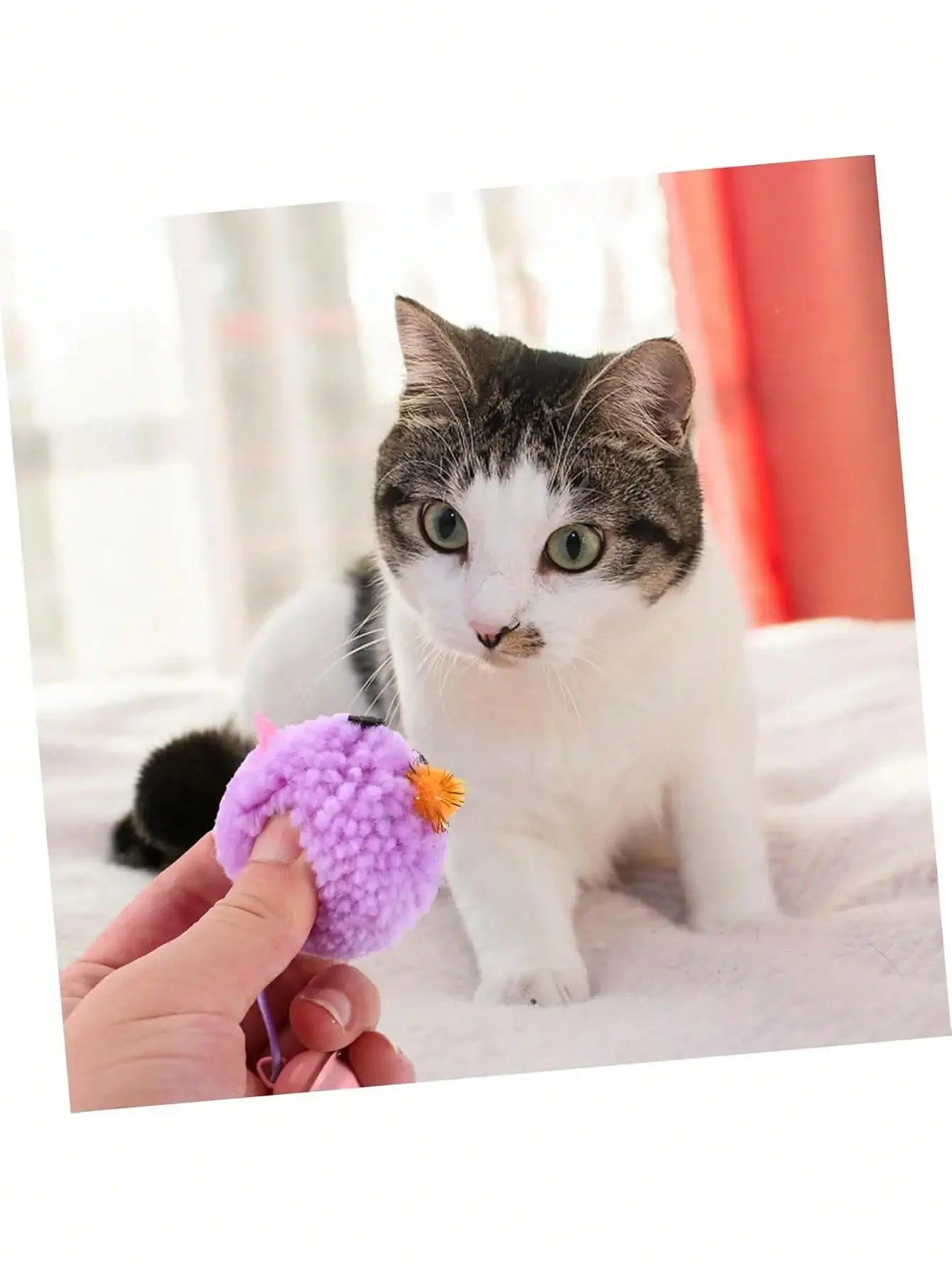 4pcs Cat Toys Set, Plush Ball With Bell, Plush Cat Ball Toys With Bells, Cute Cat Mouse Toys With Sound & Chewing Design, Interactive Indoor Cat Toys To Relieve Boredom And Destructive Behavior
