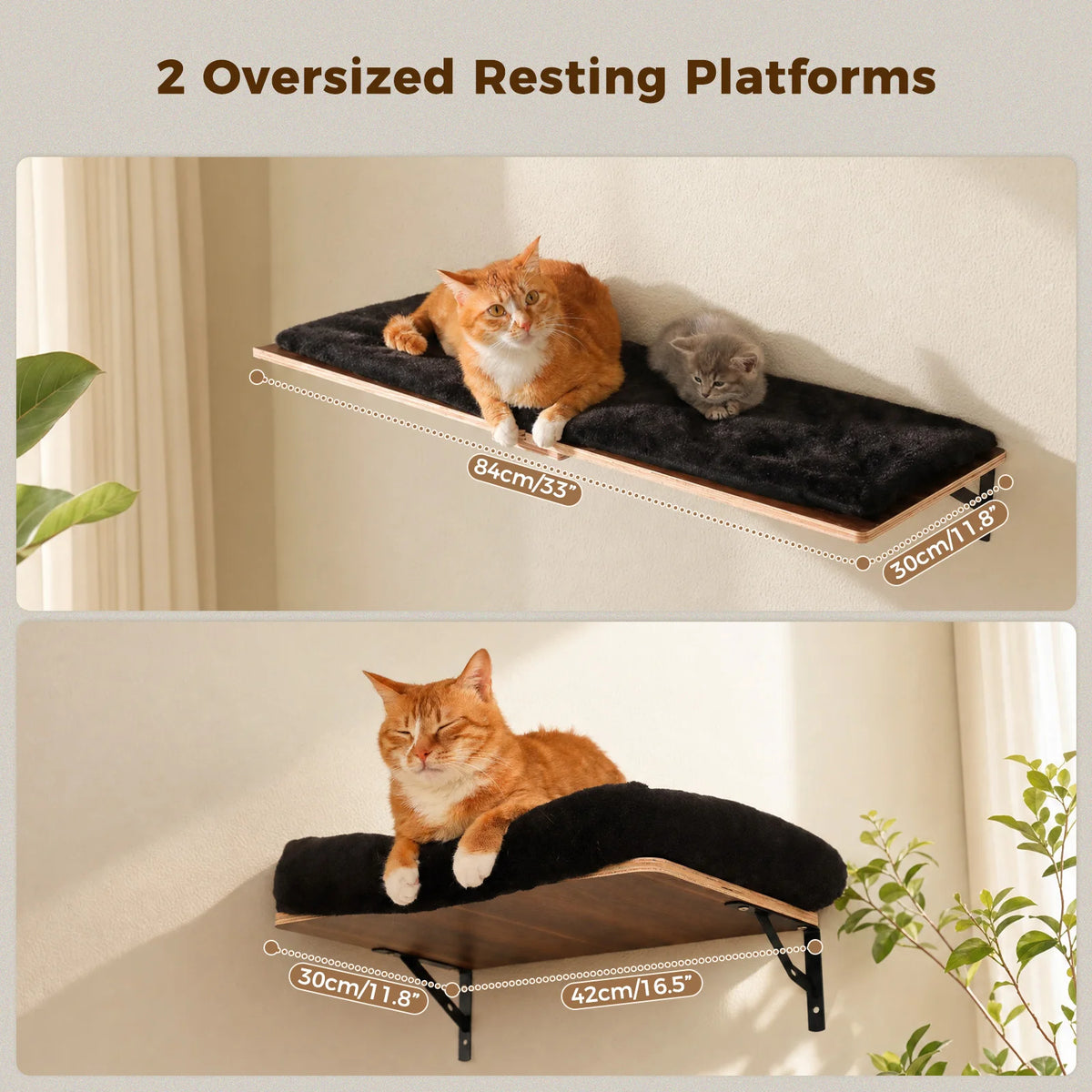 PAWZ Road Wooden Cat Wall Climbing Shelves With Scratching Posts