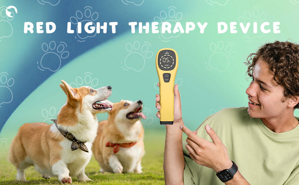 Pet Pain Relief  650nm 808nm Cold Low Level Laser Red Light Therapy Device Dog Cat Body Physical Muscle Therapy Equipment